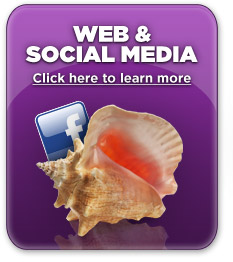 WEB & SOCIAL MEDIA