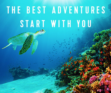 The Best Adventures Start with You