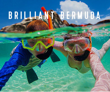 Brilliant Bermuda
