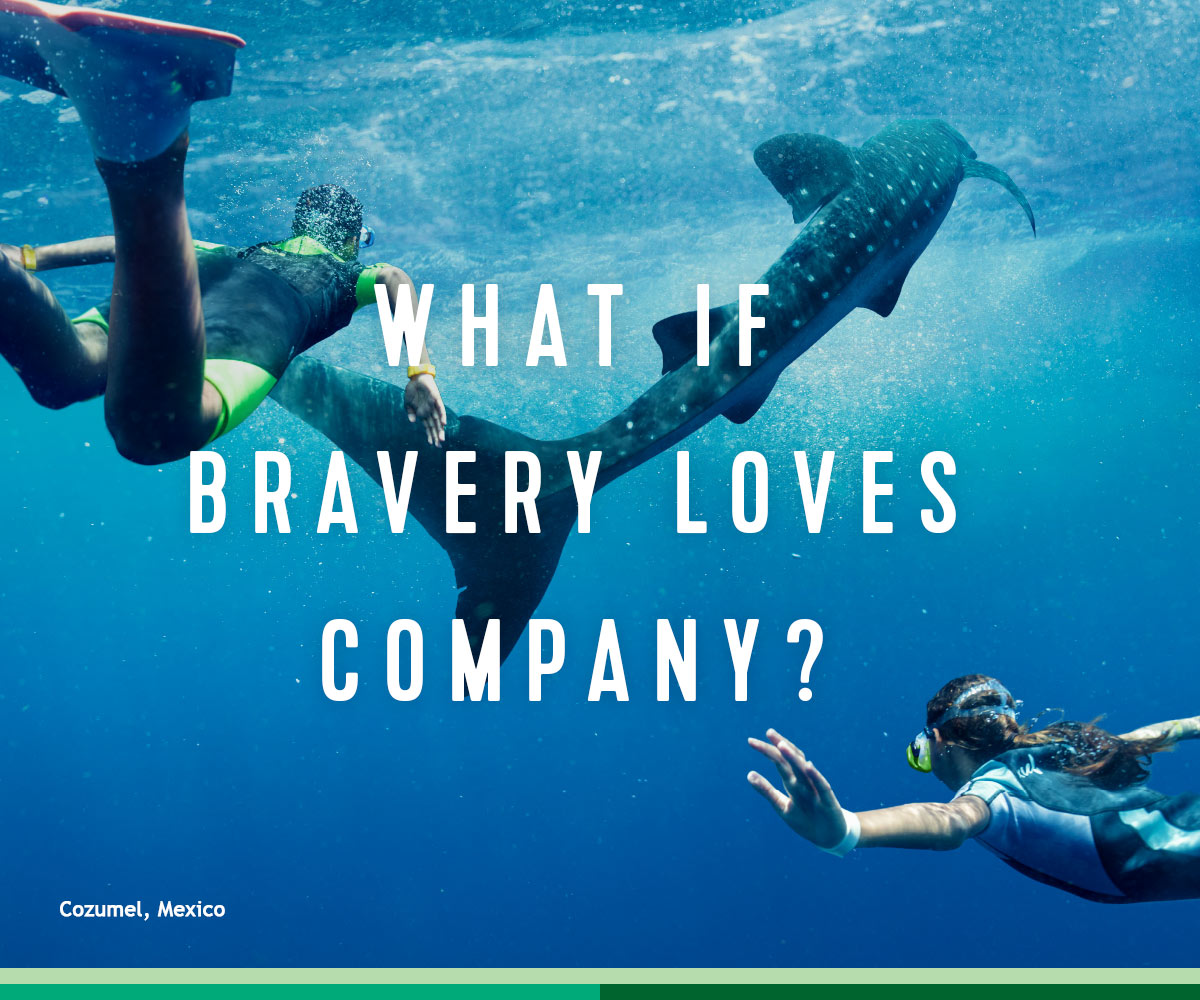 WHAT IF BRAVERY LOVES COMPANY?